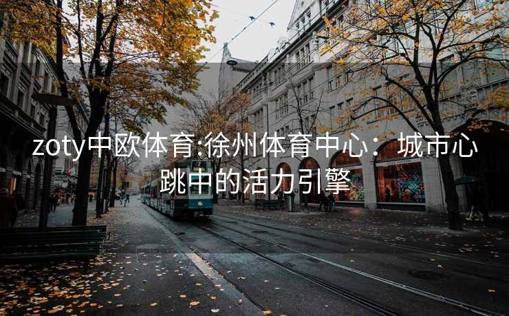 zoty中欧体育:徐州体育中心：城市心跳中的活力引擎
