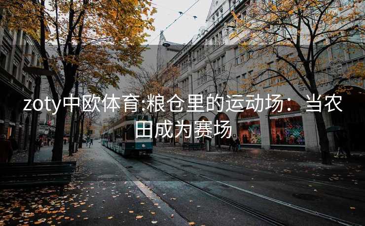 zoty中欧体育:粮仓里的运动场：当农田成为赛场